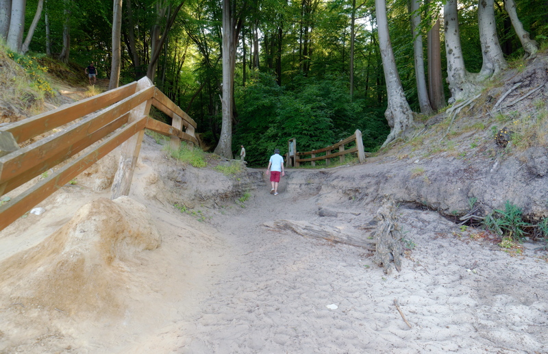 20 - A sandy walking trail leading into a forest